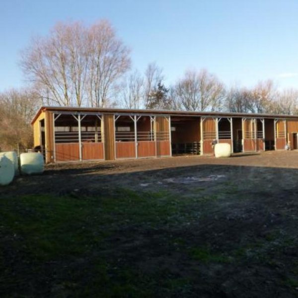 Oldenburg in Holstein Reitschule am Meer in Schleswig Holstein Gewerbe kaufen