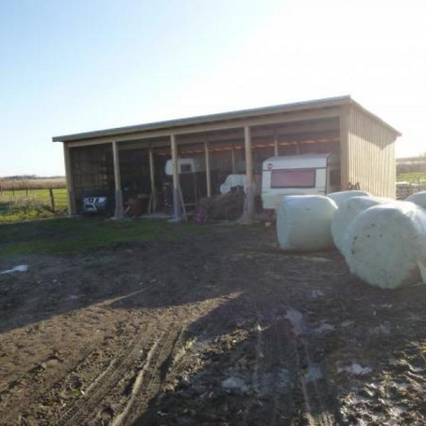 Oldenburg in Holstein Reitschule am Meer in Schleswig Holstein Gewerbe kaufen