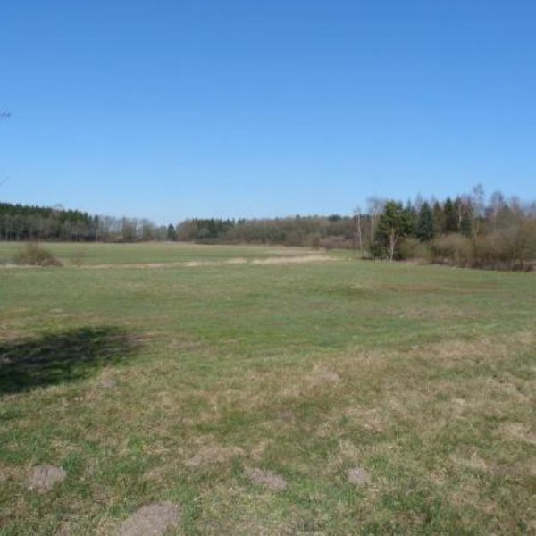 Oldenburg in Holstein Reitschule am Meer in Schleswig Holstein Gewerbe kaufen