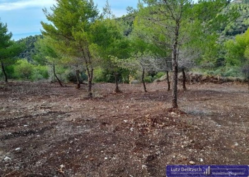 Agaliani Baugrundstück mit Meer- und Bergsicht im Bereich Agaliani Grundstück kaufen