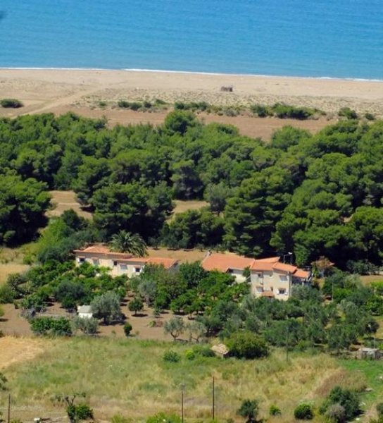 Kyparissia Ein Paradies für Aussteiger: Wohnhaus direkt am Meer bei Kyparissia auf dem West-Peloponnes Haus kaufen