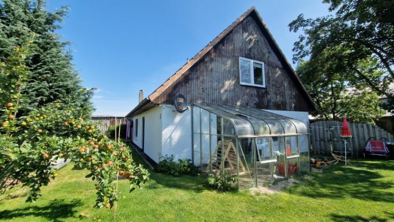 Großenwiehe Ruhiges schönes EFH in Kleinwiehe (viel saniert) Haus kaufen