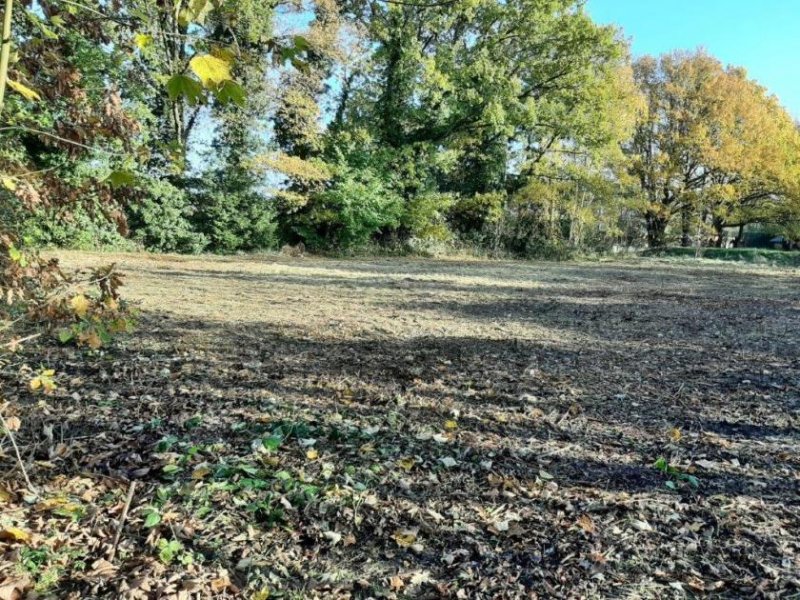 Hohenlockstedt Baugrundstück in Hohenlockstedt zu verkaufen Grundstück kaufen