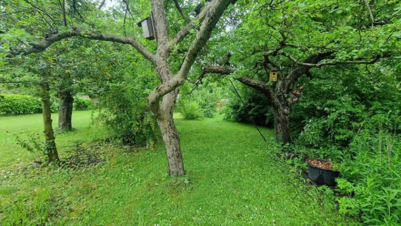 Husum Großes Stadthaus mit Garten zentral in Husum Haus kaufen