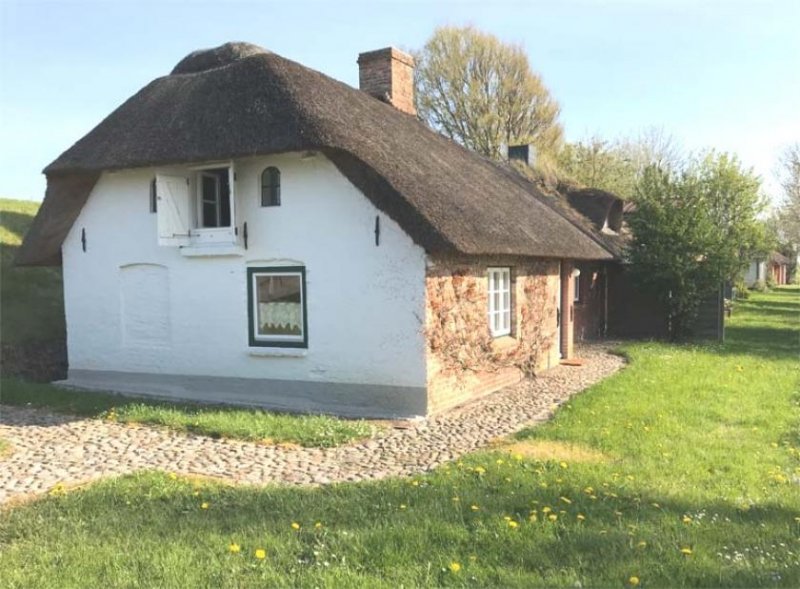 Nordstrand Historische Reetdachkate in idyllischer Deichlage, DHH Haus kaufen