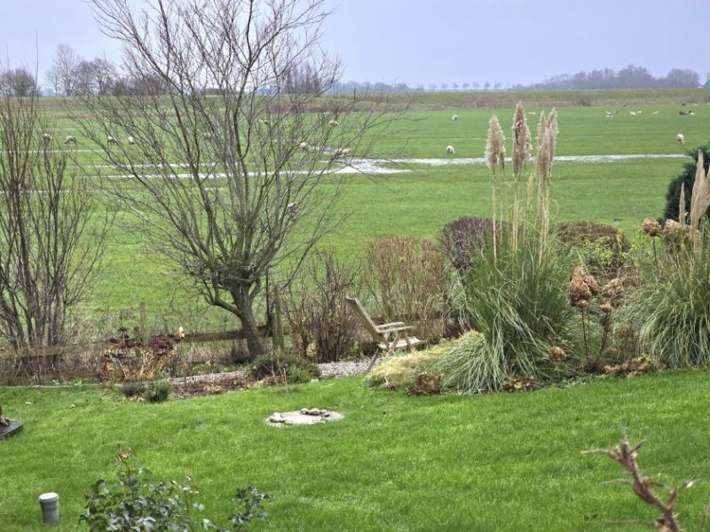 Nordstrand **Leben auf dem Engländer Deich** Haus kaufen