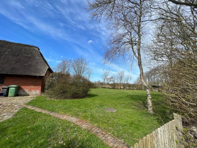 Hattstedt Bauernhaus unter gemütlichem Reetdach in Alleinlage Haus kaufen