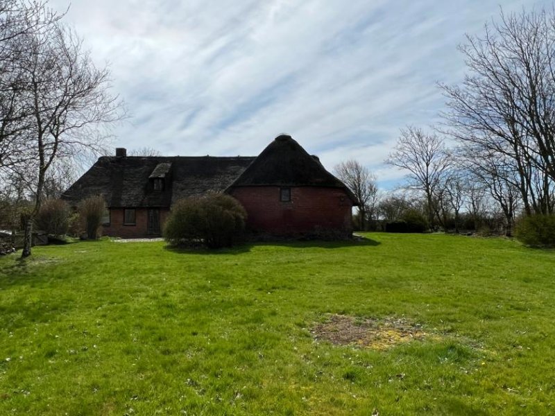 Hattstedt Bauernhaus unter gemütlichem Reetdach in Alleinlage Haus kaufen