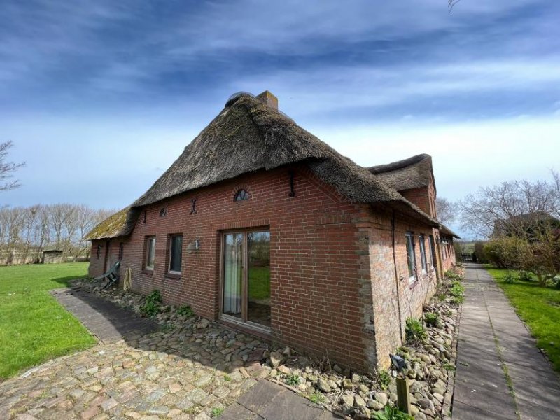 Hattstedt Bauernhaus unter gemütlichem Reetdach in Alleinlage Haus kaufen