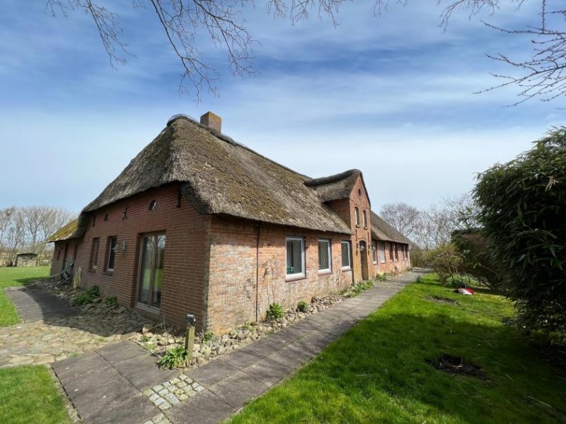 Hattstedt Bauernhaus unter gemütlichem Reetdach in Alleinlage Haus kaufen