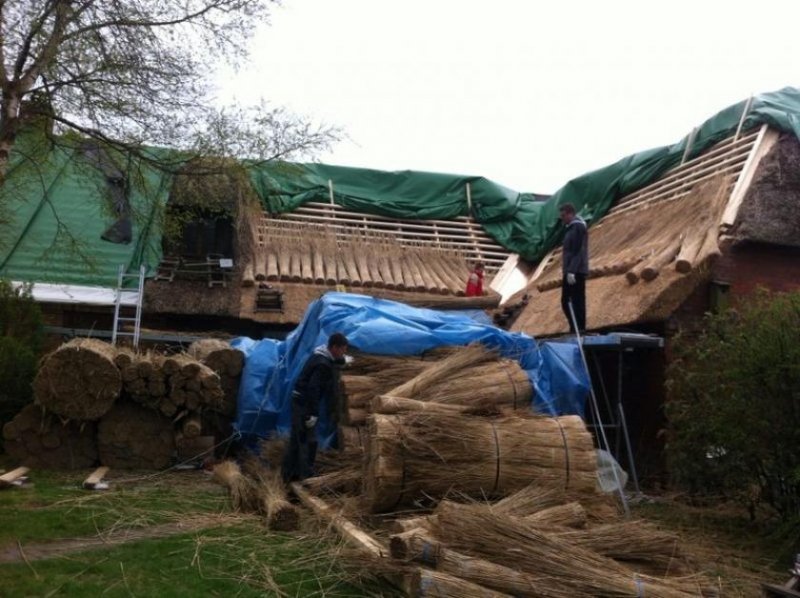 Hattstedt Bauernhaus unter gemütlichem Reetdach in Alleinlage Haus kaufen