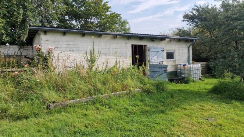 Drage (Kreis Nordfriesland) Großes Anwesen mit viel Platz und Teich in Drage Haus kaufen