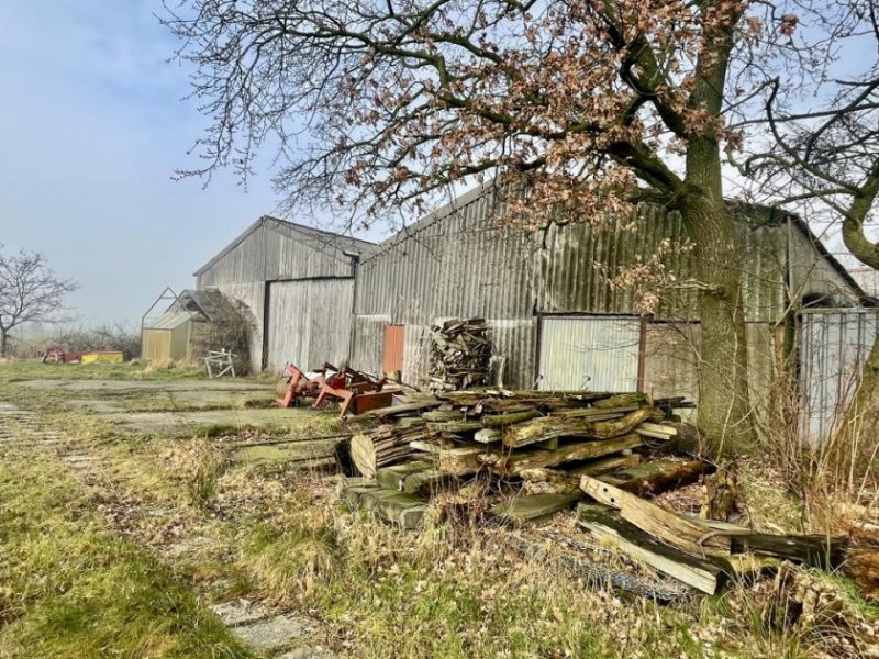 Blomberg (Landkreis Wittmund) Einfamilienhaus / Resthof mit Stall, Halle und Partyhütte auf 46.442 m² Grundstück Haus kaufen