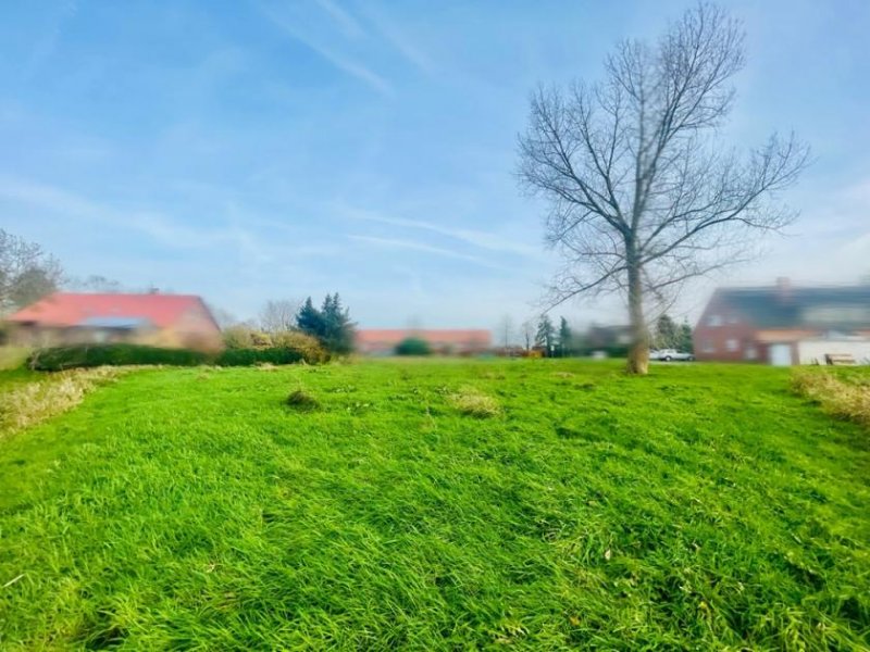 Schweindorf Tolles Baugrundstück mit freiem Blick in Felder Grundstück kaufen