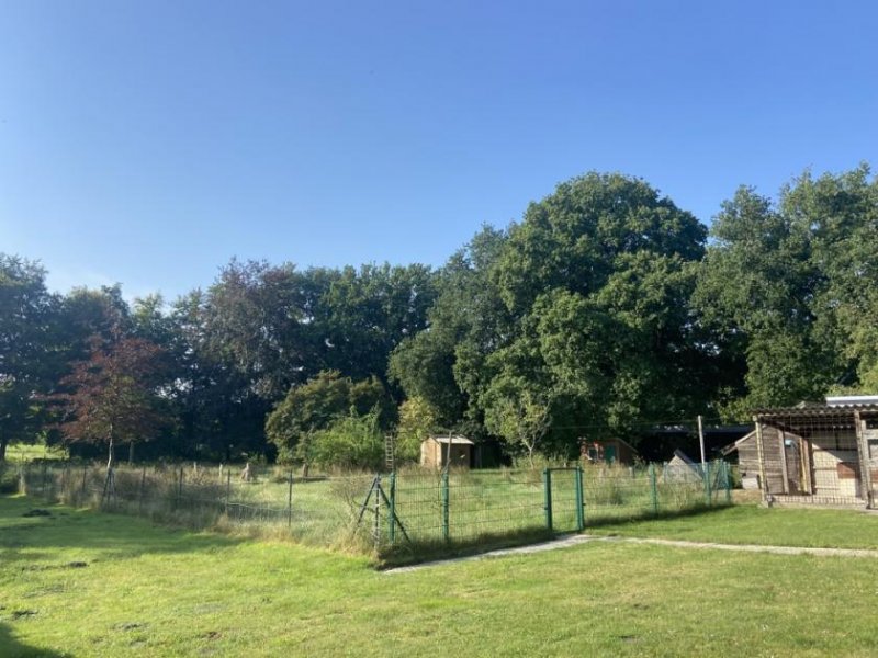 Leer (Ostfriesland) * Einfamilienhaus in Siebenbergen * Haus kaufen