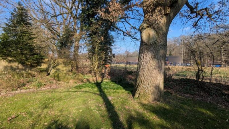 Leer (Ostfriesland) Rarität in Logabirum: Einfamilienhaus mit Bauland für 3 weitere Einheiten! Haus kaufen