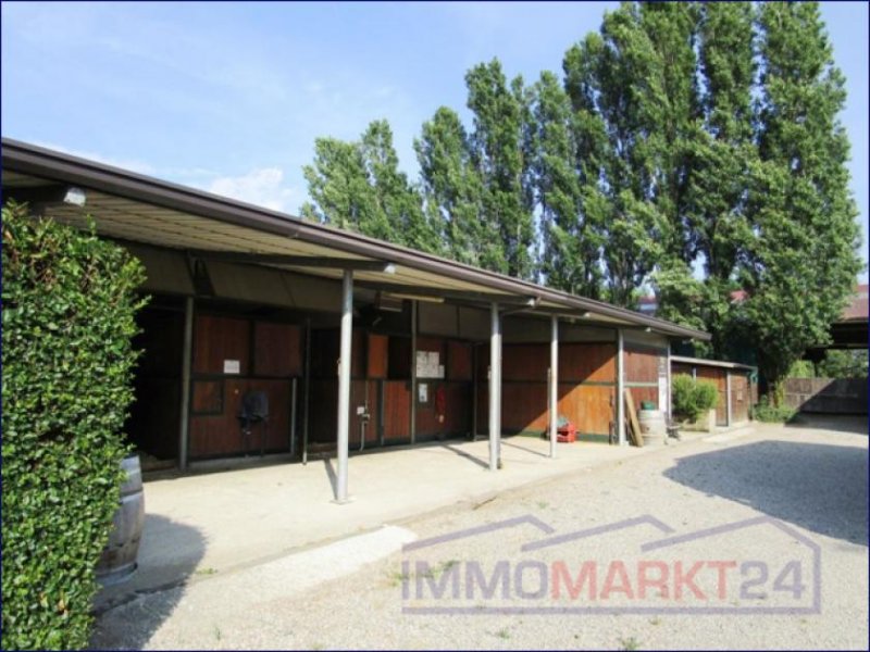 Oleggio ***Paradies für Pferdeliebhaber, Stallungen, Reithalle und vier Hektar Landfläche, in Piemonte*** Haus kaufen