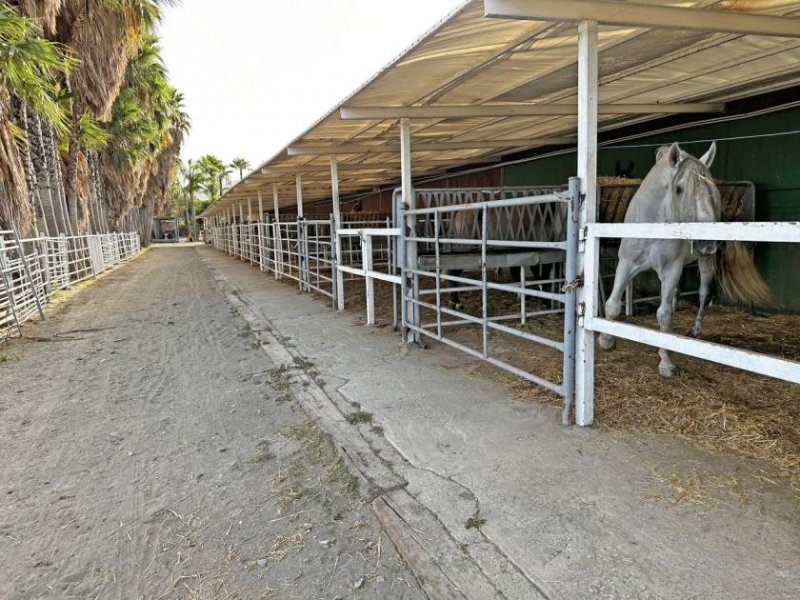 Malaga Andalusien, Malaga - Reitanlage, Reitimmobilie mit Wohnmöglichkeiten zu verkaufen Haus kaufen