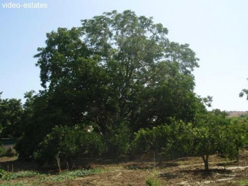 Coin Finca für Pferdeliebhaber und Hobbygärtner Haus kaufen