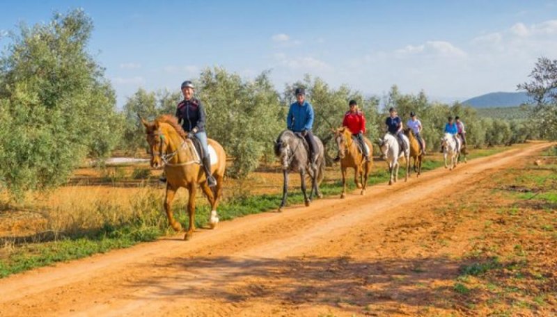 Antequera Andalusien, nahe Antequera, Finca mit Gästezimmern und Reitstall Haus kaufen