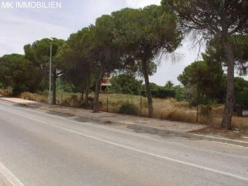 ELVIRIA Grundstück mit Meerblick Grundstück kaufen