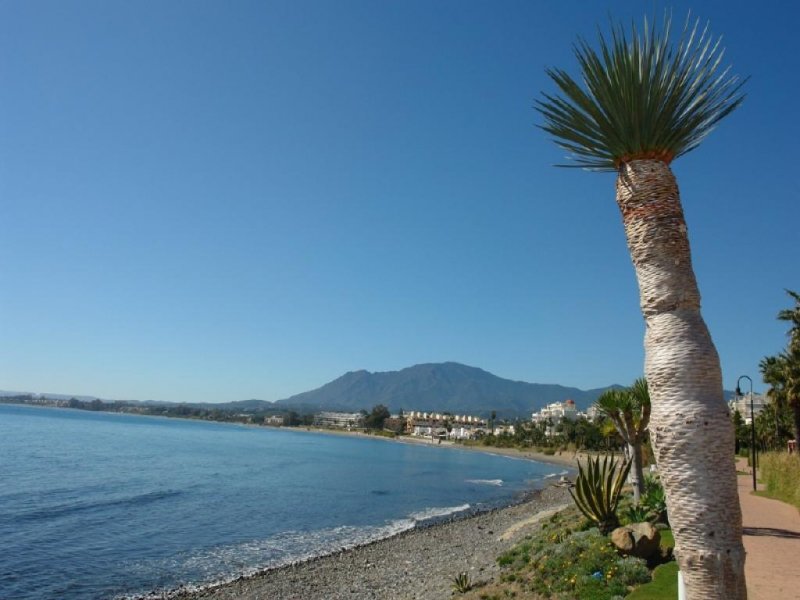 Estepona Große Wohnung strandnah und komplett möbliert zu verkaufen Wohnung kaufen