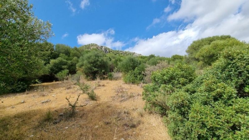 Grethem Andalusien, Costa del Sol, Casares - Baugrundstück Grundstück kaufen