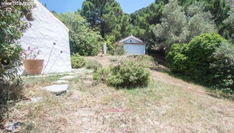 Grethem HDA-Immo.eu: Wunderschöne(s) Finca/Landhaus auf einem Naturpark in Casares BEFINDET Haus kaufen