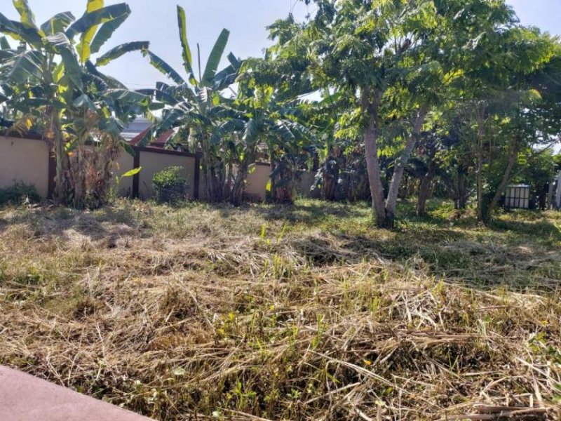 Nakhonratchasima Bauland und Gratishaus in Korat Südwest Grundstück kaufen