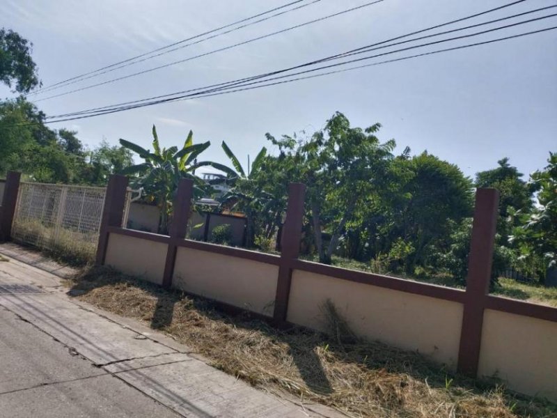 Nakhonratchasima Bauland und Gratishaus in Korat Südwest Grundstück kaufen