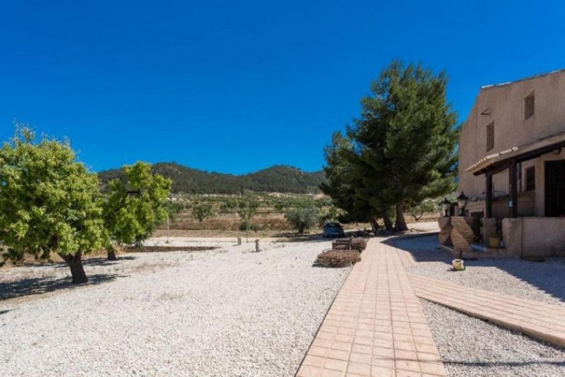 La Zarza Voll lizenziertes & laufendes Charakter-Gästehaus in Murcia. Voll lizenziertes & laufendes Charakter-Gästehaus- Die um