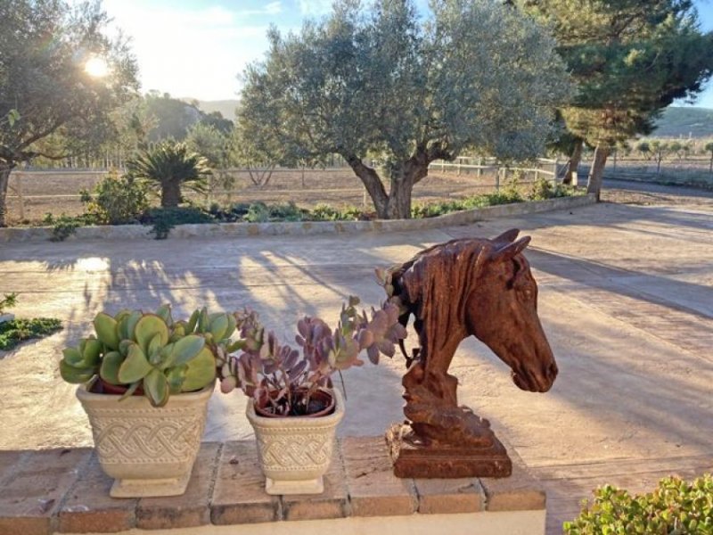 Campo de Ricote Murcia, Campo de Ricote - Designerfinca mit Pferdestall zu verkaufen Haus kaufen