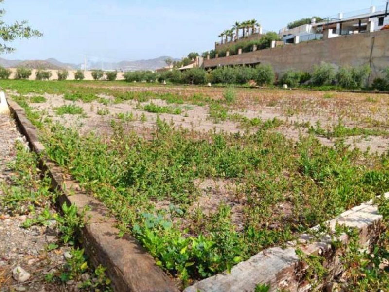 Laatzen Costa Calida, Murcia, Aguilas - Finca mit 3 Whgen und Pferdeboxen zu verkaufen Haus kaufen