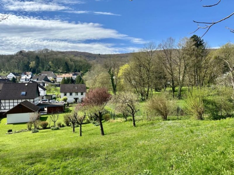 Salzhemmendorf Fachwerkhaus - An Bachlauf und Bürgergarten Haus kaufen