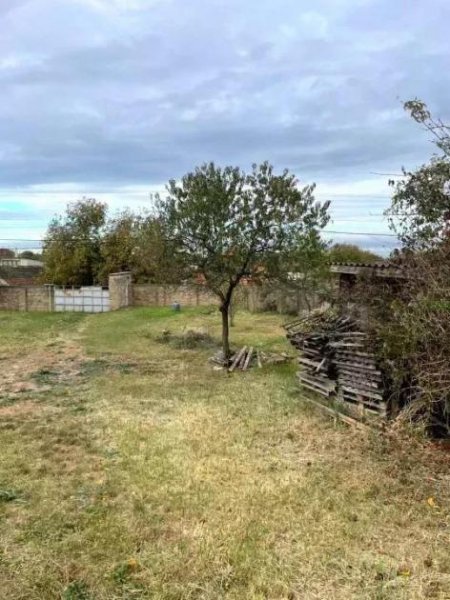 Ghioroc Hauskauf Villa in Ghioroc zu verkaufen Haus kaufen