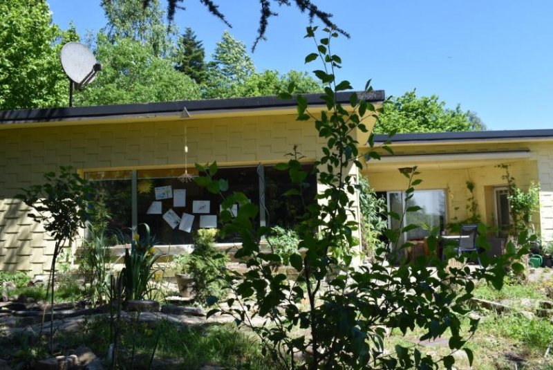 Aerzen großzügiger Bungalow auf Traumgrundstück Haus kaufen