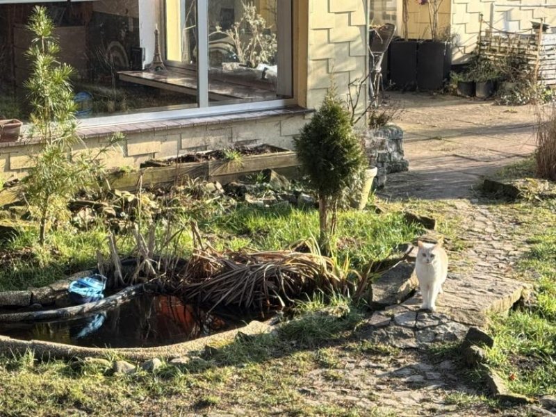 Aerzen großzügiger Bungalow auf Traumgrundstück Haus kaufen