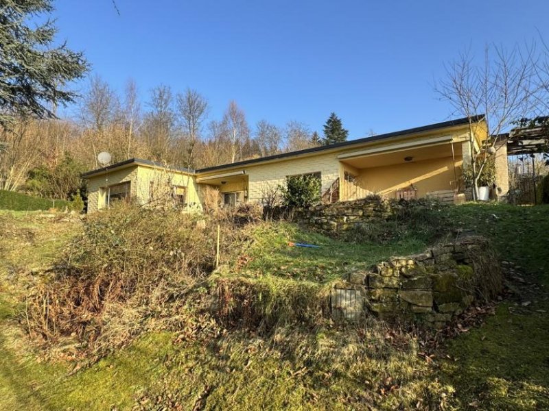 Aerzen großzügiger Bungalow auf Traumgrundstück Haus kaufen