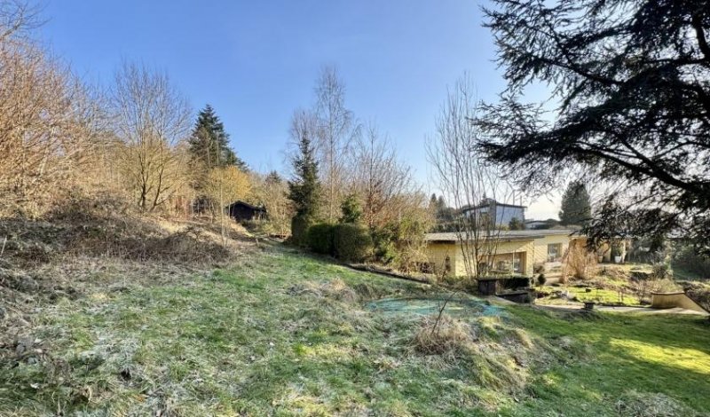 Aerzen großzügiger Bungalow auf Traumgrundstück Haus kaufen