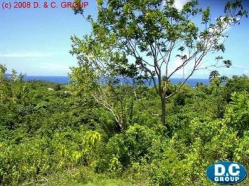 Las Galeras Grundbesitz mit Meerblick in Bahia del Rincon Grundstück kaufen