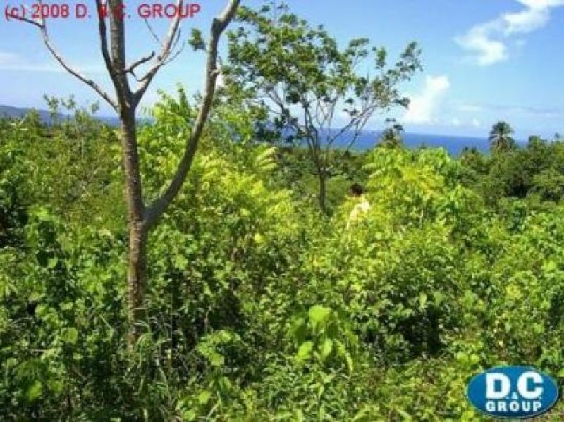 Las Galeras Grundbesitz mit Meerblick in Bahia del Rincon Grundstück kaufen