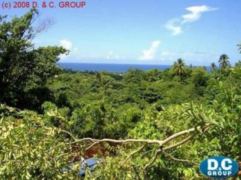 Las Galeras Grundbesitz mit Meerblick in Bahia del Rincon Grundstück kaufen