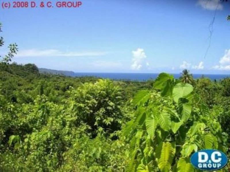 Las Galeras Grundbesitz mit Meerblick in Bahia del Rincon Grundstück kaufen