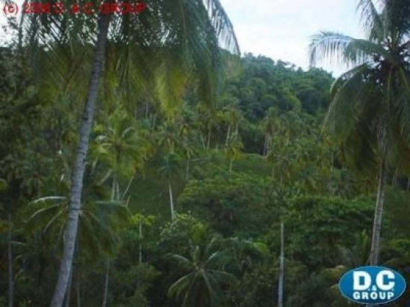 Sanchez-Samana Herrlicher Grundbesitz mit Meerblick in 7 km bis Samana Grundstück kaufen