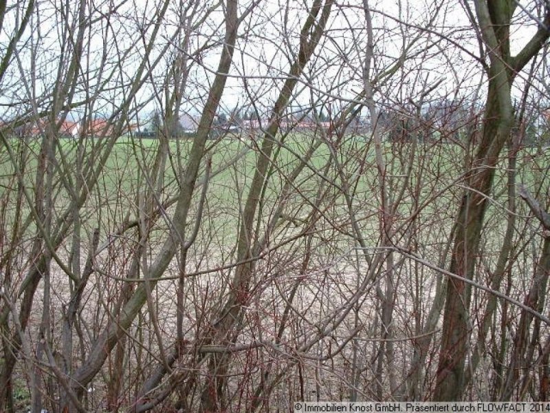 Hille ACHTUNG KAPITALANLEGER! - Bauerwartungsland in Hille-Oberlübbe zu verkaufen! Grundstück kaufen