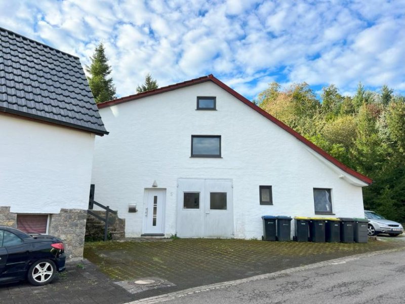 Dörentrup RESERVIERT: 2 Häuser zum Preis von einem! Mit Deele und 4 Wohnungen mit separaten Eingängen Gewerbe kaufen