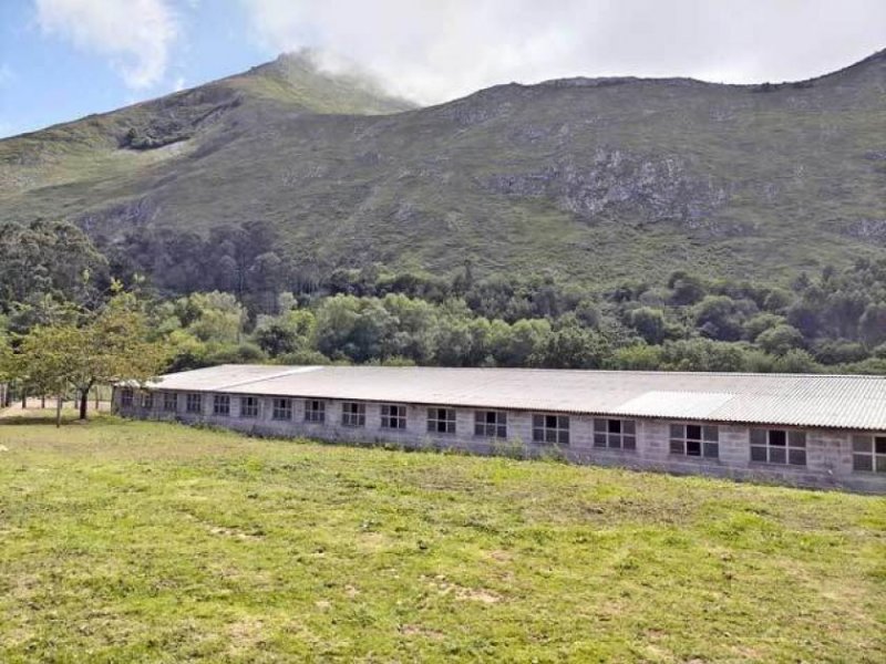 Lloroni Asturien, Lloroni - Finca mit grossem Grundstück - ideal für Pferde Haus kaufen