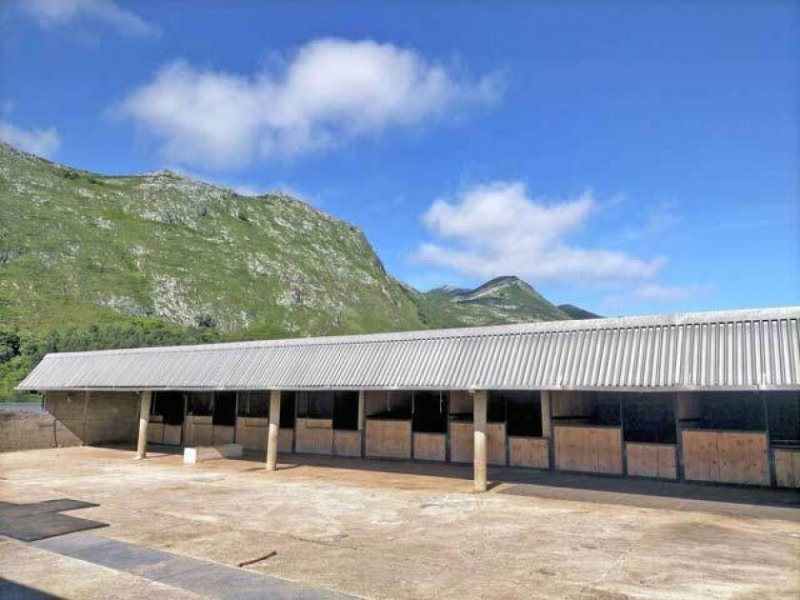 Lloroni Asturien, Lloroni - Finca mit grossem Grundstück - ideal für Pferde Haus kaufen