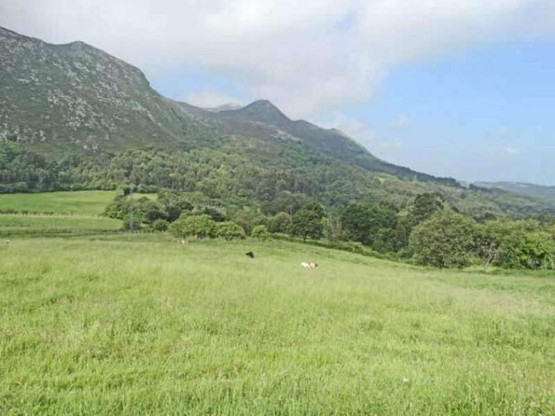 Lloroni Asturien, Lloroni - Finca mit grossem Grundstück - ideal für Pferde Haus kaufen