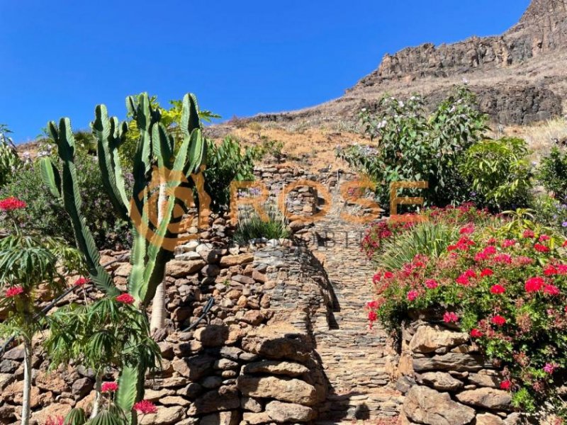 Playa del Ingles Große Finca nahe Maspalomas in wunderschönem Tal Haus kaufen